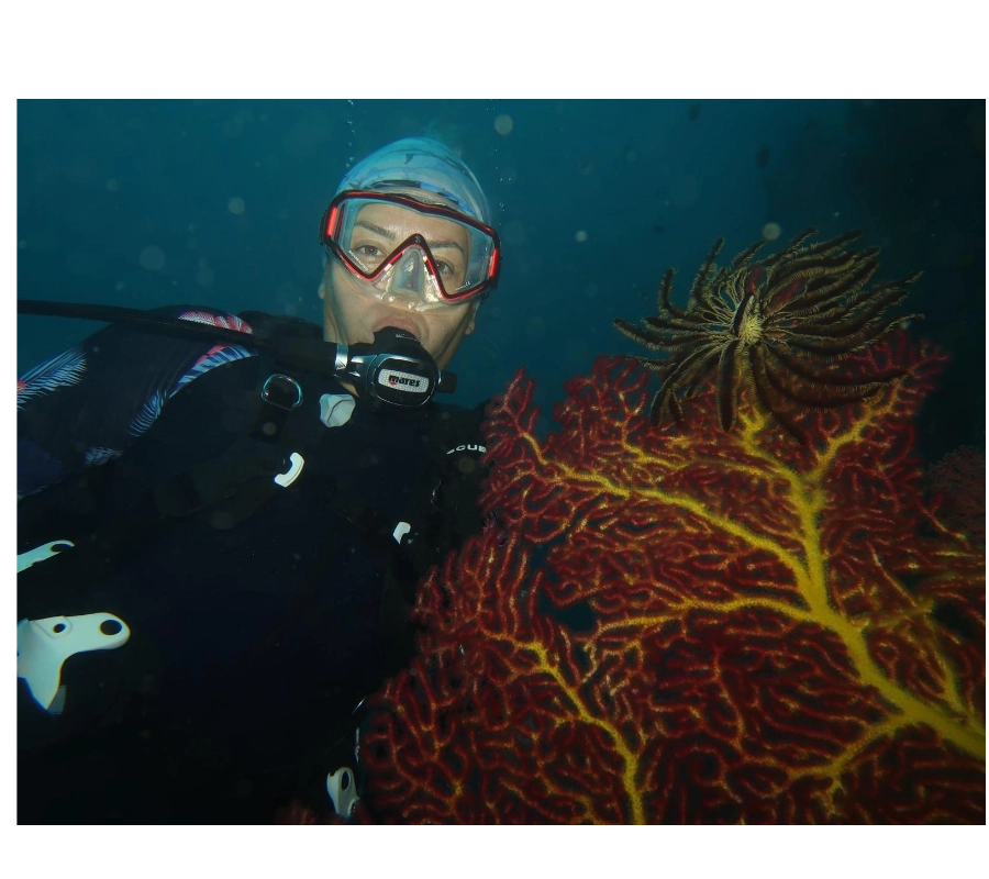 Filipinler Moalboal Dalış Turu 2