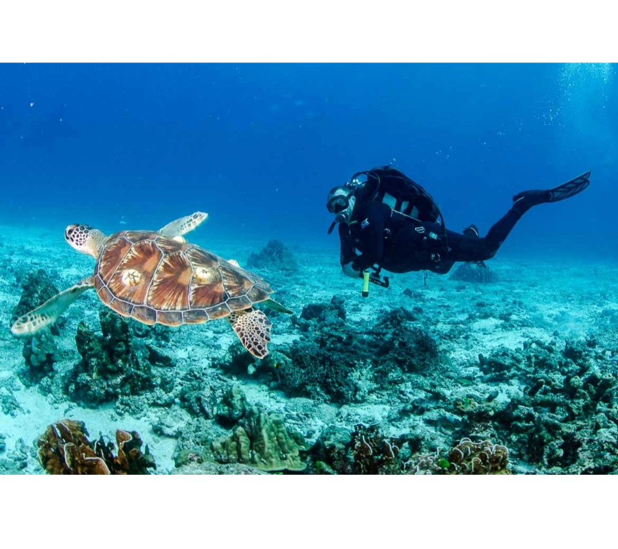 PHUKET DALIŞ TURU