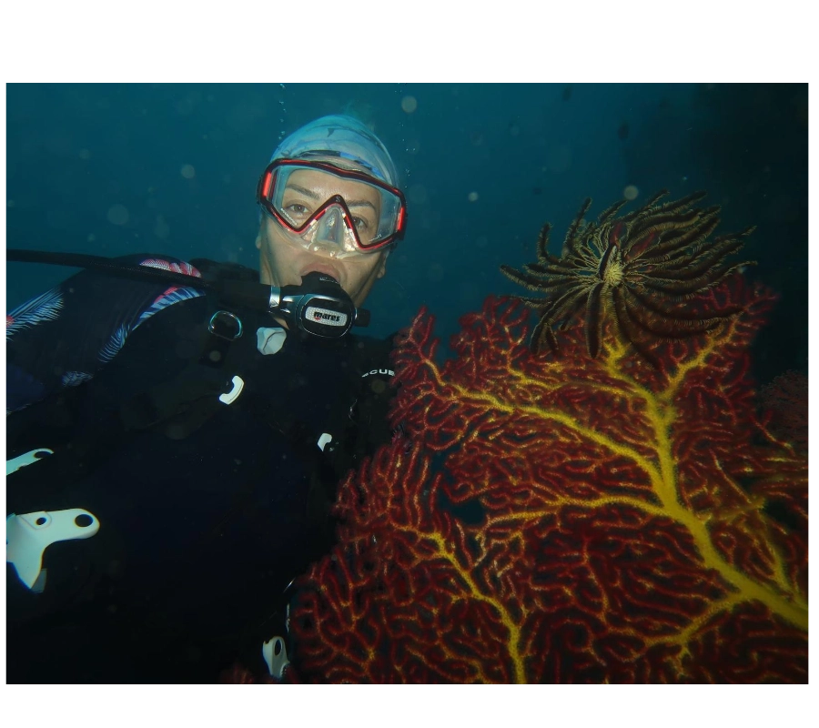 Filipinler Moalboal Dalış Turu