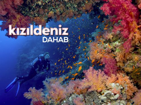 KIZILDENİZ DAHAB TURU 